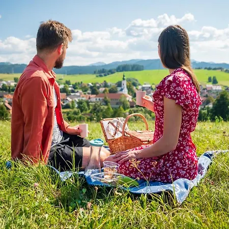 Hybsky Dom Est 1905 *