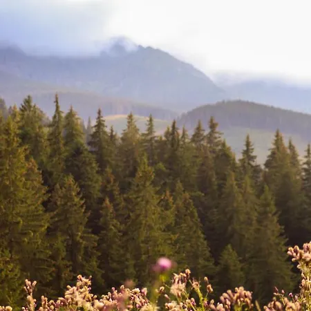 Hybsky Dom Est 1905 度假居 *