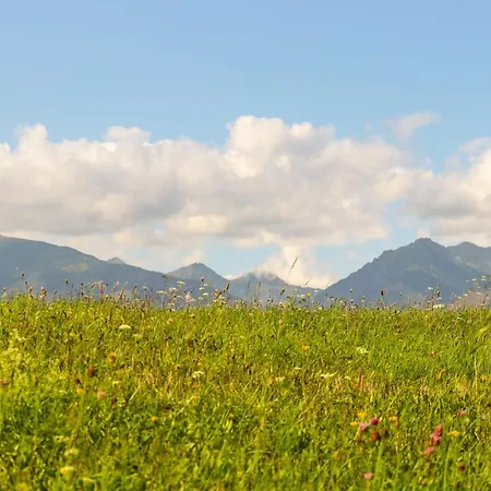 Hybský Dom Est 1905