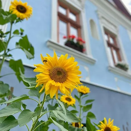 Hybský Dom Est 1905 Prázdninový dům
