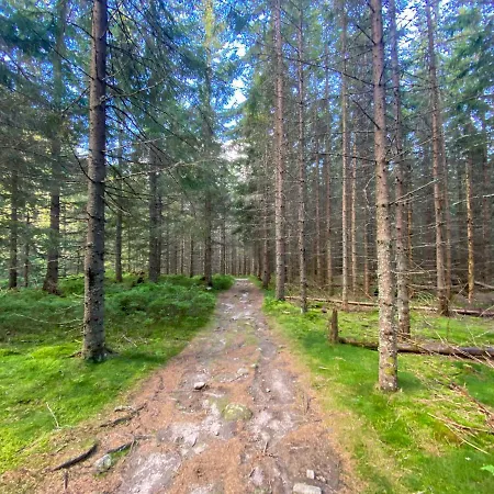 Hybsky Dom Holiday home *