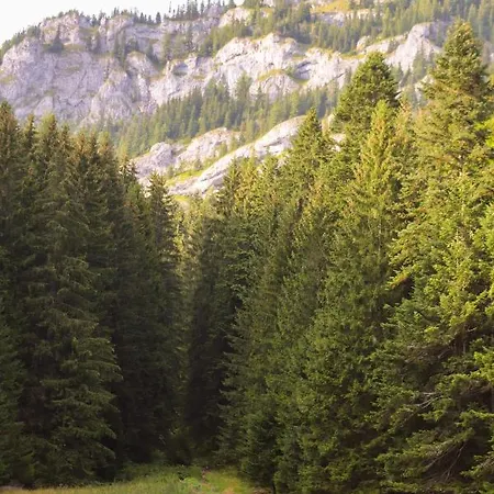 Hybský Dom Est 1905 Prázdninový dům *
