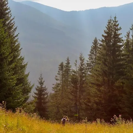 Hybsky Dom Est 1905 度假居