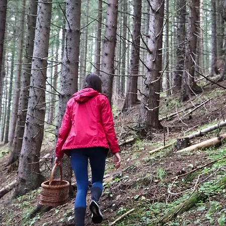 Hybský Dom Est 1905 *
