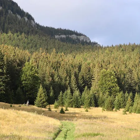 Hybsky Dom Holiday home