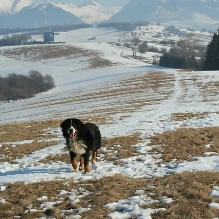 Holiday home Hybsky Dom *